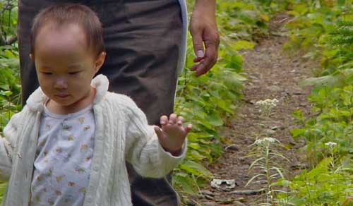 在 Isle Royale 走走