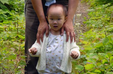 在 Isle Royale 走走