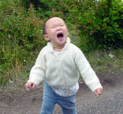 在 Isle Royale 走走