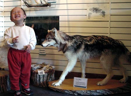 Voyageurs 公園坐船