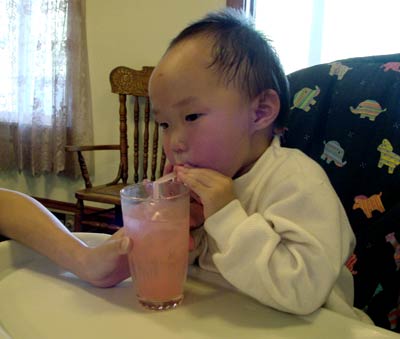 Voyageurs 公園坐船