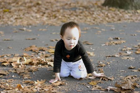 Bull's Island 公園晚玩