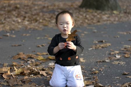 Bull's Island 公園晚玩