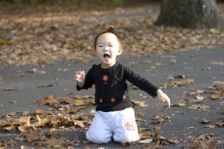 Bull's Island 公園晚玩