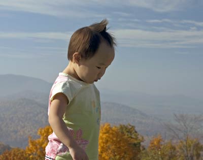 Shenandoah 國家公園