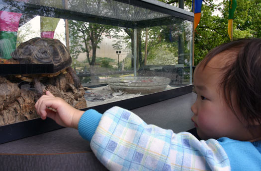 費城動物園