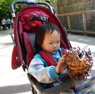 費城動物園