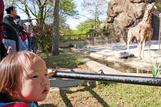 費城動物園