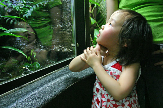 巴爾的摩水族館