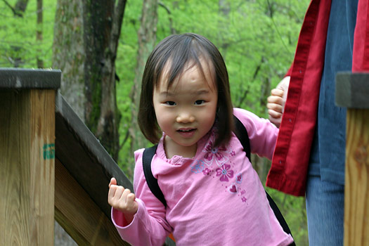 Prince William森林公園