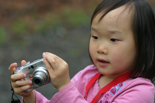 Prince William森林公園