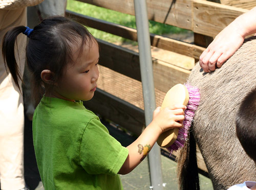 動物園照顧小動物