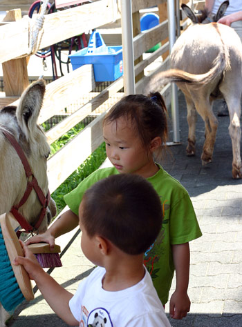 動物園照顧小動物