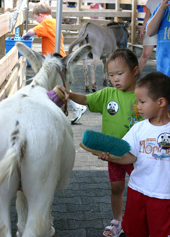 動物園照顧小動物