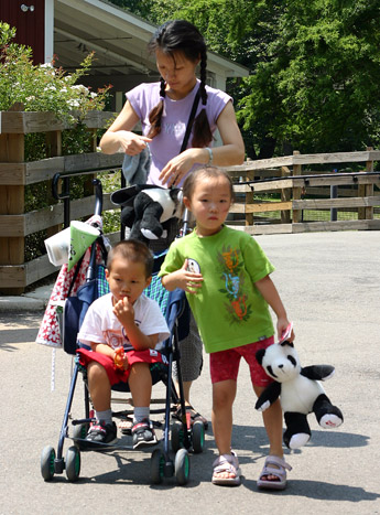 動物園照顧小動物