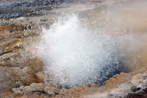 高噴泉凹地 (Upper Geyser Basin)