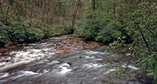 大煙山國家公園 (Great Smoky Mountains National Park) Cataloochee