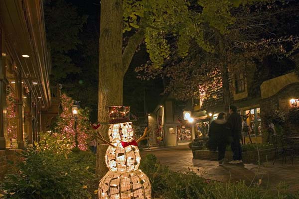 大煙山國家公園 (Great Smoky Mountains National Park) Gatlinburg