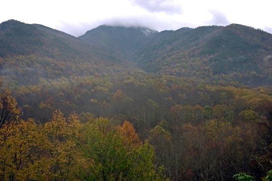 大煙山國家公園 (Great Smoky Mountains National Park) Newfound Gap Road