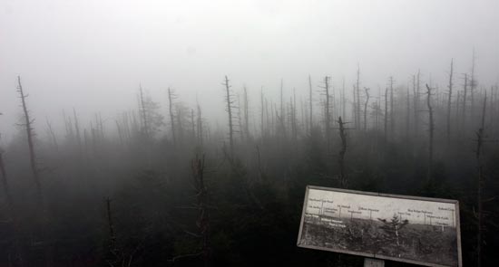 大煙山國家公園 (Great Smoky Mountains National Park) Clingmans Dome