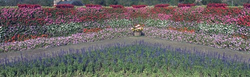 大安公園