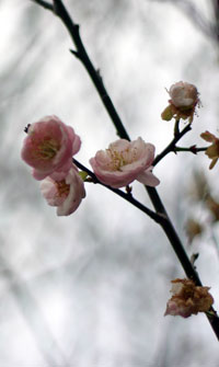 雙溪公園