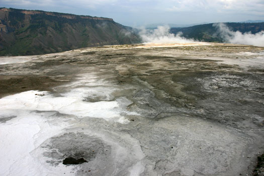 猛獁溫泉 (Mammoth Hot Spring)