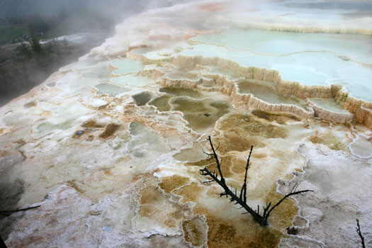 猛獁溫泉 (Mammoth Hot Spring)