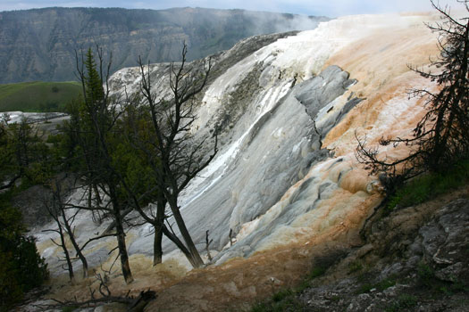 猛獁溫泉 (Mammoth Hot Spring)