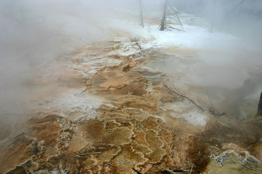 猛獁溫泉 (Mammoth Hot Spring)