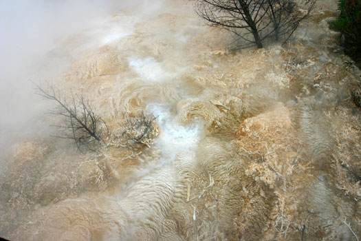 猛獁溫泉 (Mammoth Hot Spring)