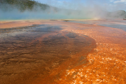 中途噴泉凹地 (Midway Geyser Basin)