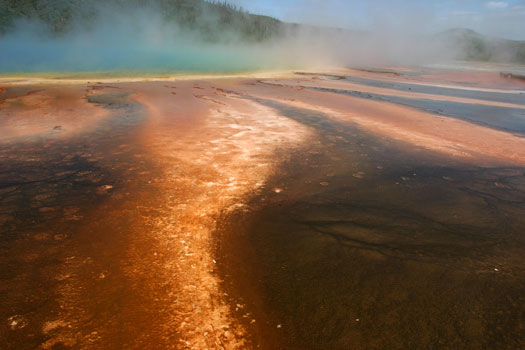 中途噴泉凹地 (Midway Geyser Basin)